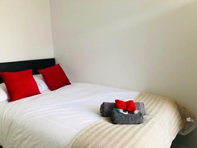 Hotel Townhouse @ 51 Balfour St, Stoke Esterno foto